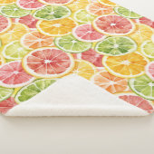 Zitrusfrüchte Limette Zitrone Orange Grapefruit Sherpadecke (3/4)
