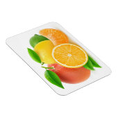 Zitrusfrüchte Magnet (Rechte Seite)