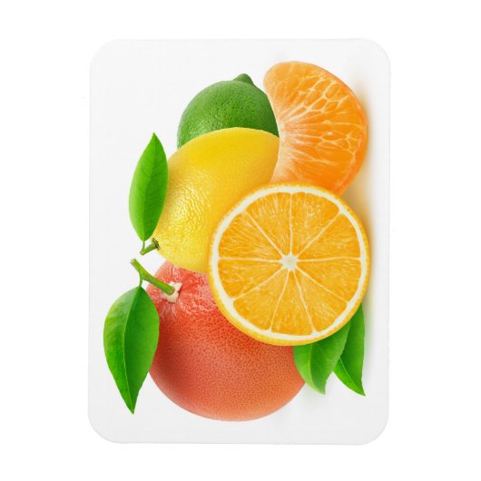 Zitrusfrüchte Magnet (Vertikal)