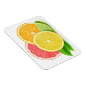 Zitrusfrüchte Magnet (Rechte Seite)