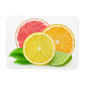 Zitrusfrüchte Magnet (Horizontal)