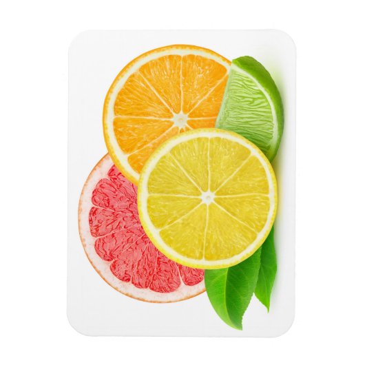 Zitrusfrüchte Magnet (Vertikal)