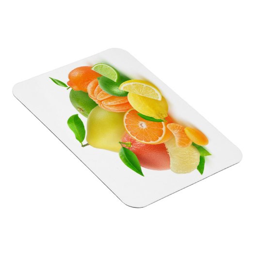 Zitrusfrüchte Magnet (Rechte Seite)