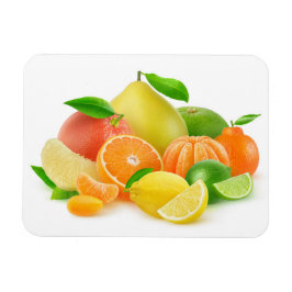 Zitrusfrüchte Magnet