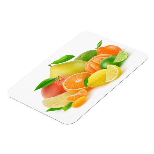 Zitrusfrüchte Magnet (Linke Seite)