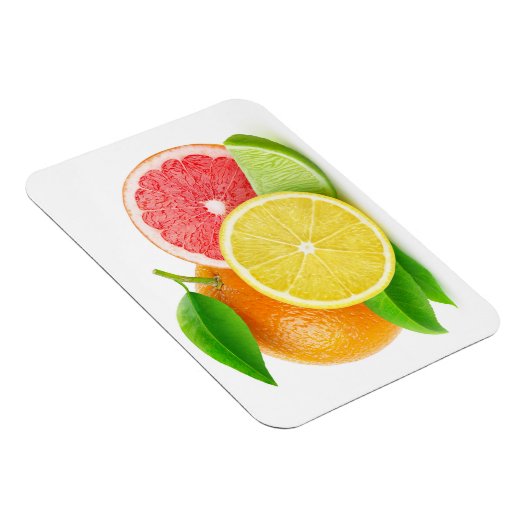 Zitrusfrüchte Magnet (Rechte Seite)