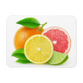Zitrusfrüchte Magnet (Horizontal)