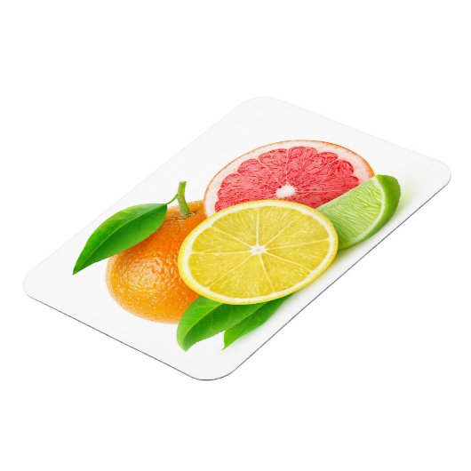 Zitrusfrüchte Magnet (Linke Seite)