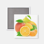 Zitrusfrüchte Magnet (Vorderseite/Rückseite)