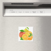 Zitrusfrüchte Magnet (In Situ (Geschirrspüler))