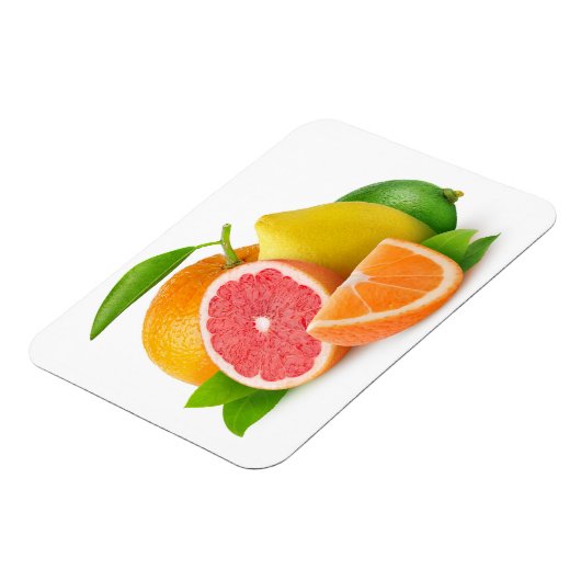 Zitrusfrüchte Magnet (Linke Seite)