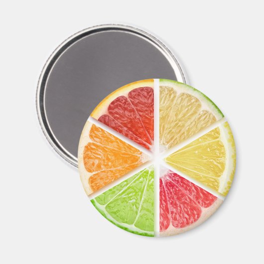 Zitrusfrüchte Magnet (Vorderseite/Rückseite)
