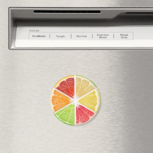 Zitrusfrüchte Magnet (In Situ (Geschirrspüler))