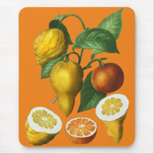 ZITRUSFRÜCHTE MOUSEPAD