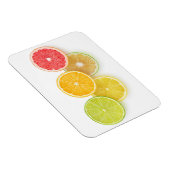 Zitrusfrüchte Olympia Magnet (Rechte Seite)