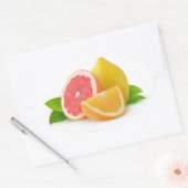 Zitrusfrüchte Ovaler Aufkleber (Umschlag)