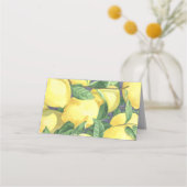 Zitrusfrüchte - Platzkarten (Rückseite)