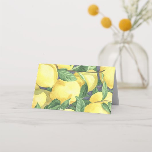 Zitrusfrüchte - Platzkarten (Rückseite)