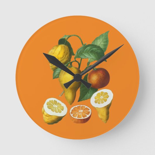 ZITRUSFRÜCHTE RUNDE WANDUHR (Vorderseite)
