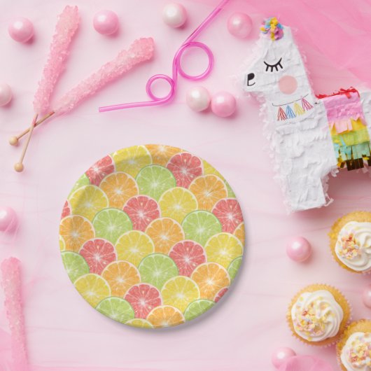 Zitrusfrüchte-Scheiben Pappteller (Party)