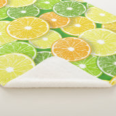 Zitrusfrüchte-Scheiben Pop Art 3 Sherpadecke (3/4)