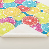 Zitrusfrüchte Scheiben Pop Art Sherpadecke (3/4)