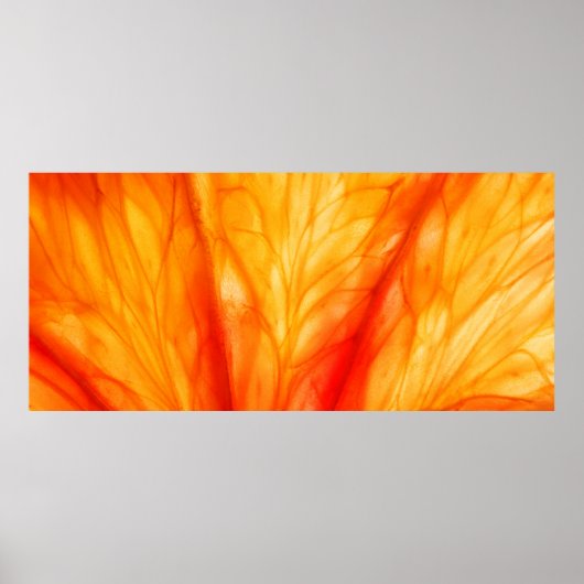 Zitrusfrüchte-Slice mit hinterleuchtetem, abstrakt Poster (Vorne)