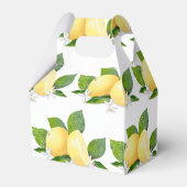 Zitrusfrüchte Zitronen Botanisch Geschenkschachtel (Rückseite)