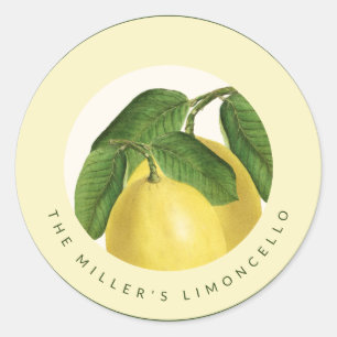 Zitrusfrüchte Zitronen Selbstgemachter Limonce Runder Aufkleber