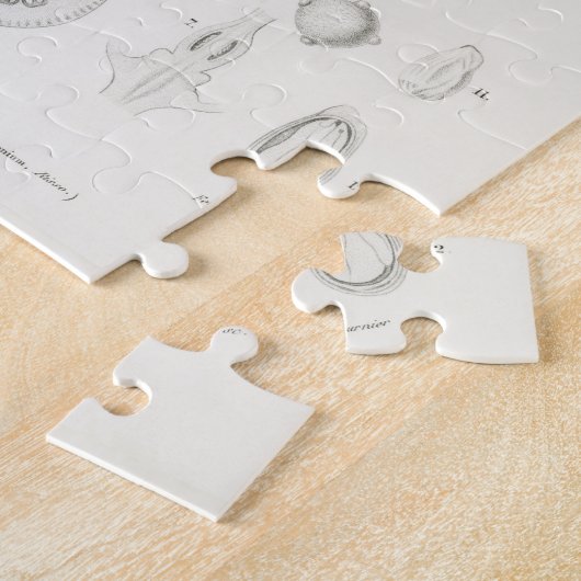 Zitrusfrüchte Zitrusfrüchte botanischer Limonium I Puzzle (Seite)