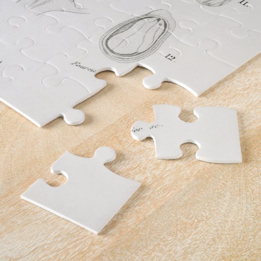 Zitrusfrüchte Zitrusfrüchte botanischer Limonium I Puzzle (Seite)