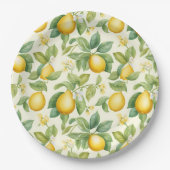Zitrusfrüchte-Zitrusfrüchte Pappteller (Vorderseite)