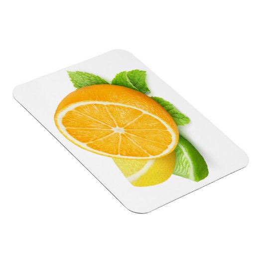 Zitrusfrüchtescheiben Magnet (Rechte Seite)