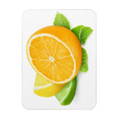 Zitrusfrüchtescheiben Magnet (Vertikal)