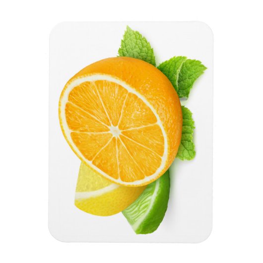 Zitrusfrüchtescheiben Magnet (Vertikal)