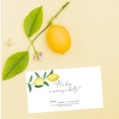 Zitruslemon - Wie groß ist das Bauchspiel der Mama Begleitkarte