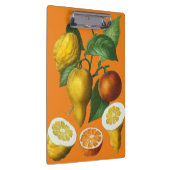 ZITRUSOBST KLEMMBRETT (Rechts)