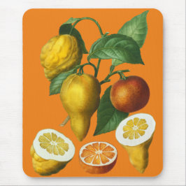 ZITRUSOBST MOUSEPAD