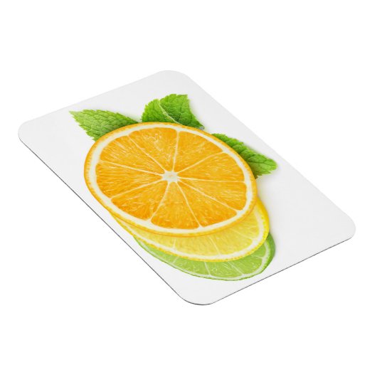Zitrusscheiben Magnet (Rechte Seite)