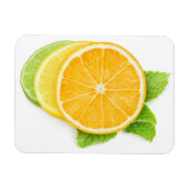 Zitrusscheiben Magnet (Horizontal)