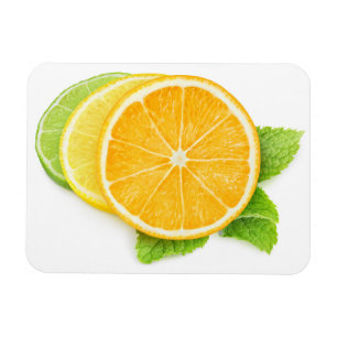 Zitrusscheiben Magnet