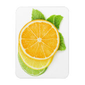 Zitrusscheiben Magnet (Vertikal)