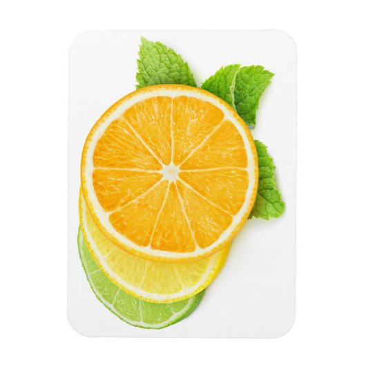 Zitrusscheiben Magnet (Vertikal)