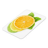 Zitrusscheiben Magnet (Linke Seite)
