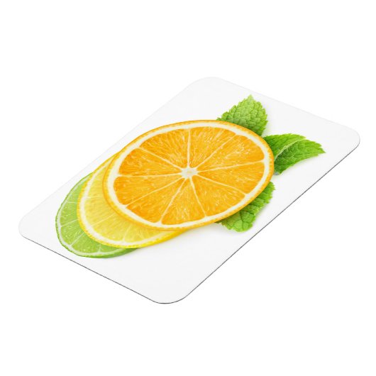 Zitrusscheiben Magnet (Linke Seite)