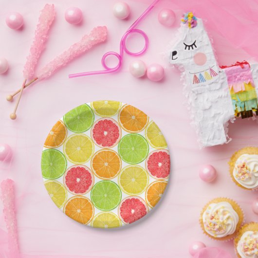 Zitrusscheiben Pappteller (Party)