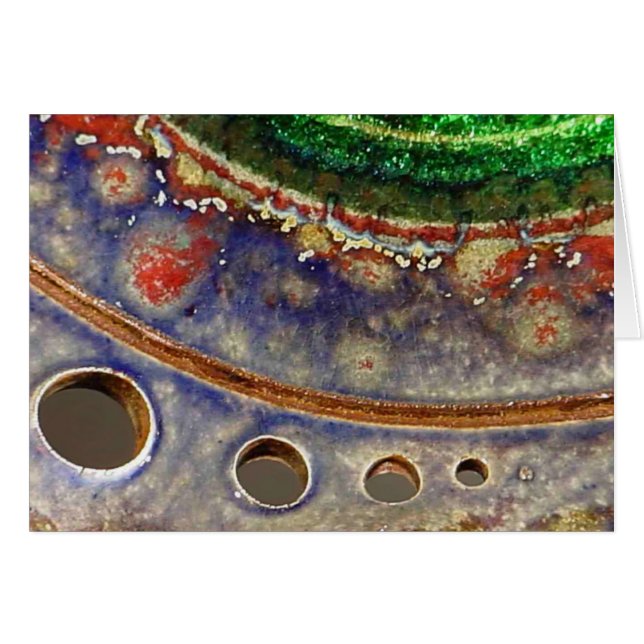 Zitteraal (Vorderseite (Horizontal))