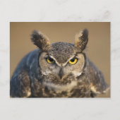 zittern, usa postkarte (Vorderseite)