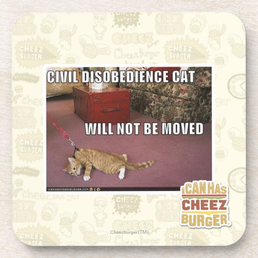 Zivile Missachtungs-Katze Getränkeuntersetzer (Vorderseite)