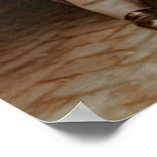 ZIVILER KRIEG - ALLGEMEINES LEE UND PERSONAL 1865 POSTER (Ecke)